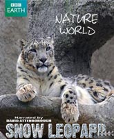 Смотреть Планета Земля: Снежный Барс - Мифы или реальность [2010] Онлайн / Watch Nature World: Snow Leopard - Beyond the Myth Online